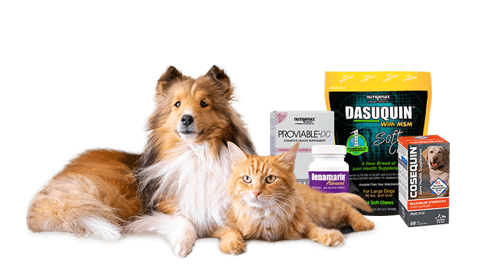 Banner-Brands-for-Your-Pet-foreground-desktop_1